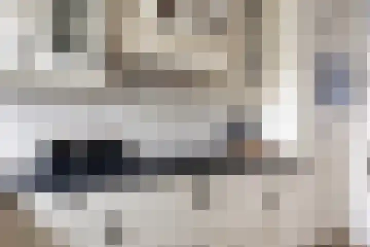 Ratelaar 25 Schoonebeek thumbnail 20