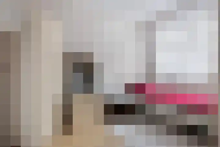 Ratelaar 25 Schoonebeek thumbnail 24