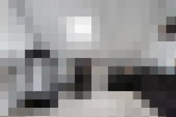 Ratelaar 25 Schoonebeek thumbnail 30