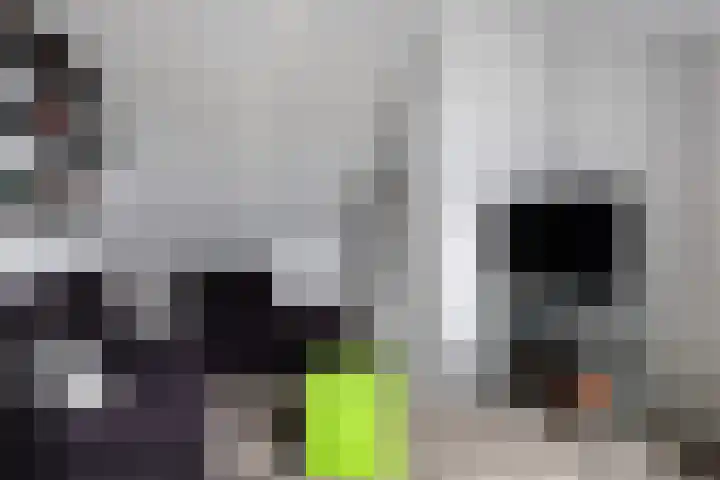 Ratelaar 25 Schoonebeek thumbnail 31