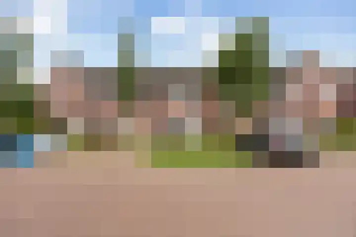 Ratelaar 25 Schoonebeek thumbnail 33