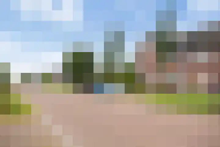 Ratelaar 25 Schoonebeek thumbnail 34