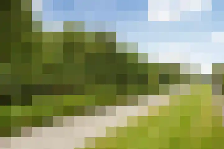 Ratelaar 25 Schoonebeek thumbnail 35