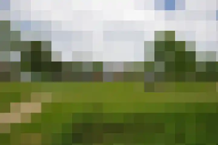 Ratelaar 25 Schoonebeek thumbnail 36