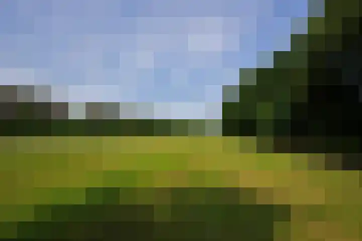 Ratelaar 25 Schoonebeek thumbnail 37