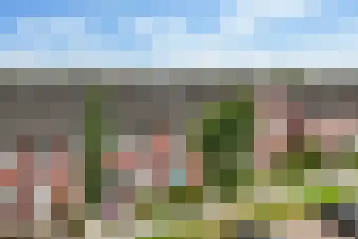 Ratelaar 25 Schoonebeek thumbnail 6
