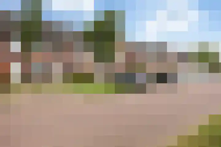 Ratelaar 25 Schoonebeek thumbnail 7