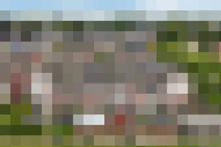 Ratelaar 25 Schoonebeek thumbnail 8
