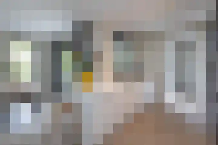 Ratelaar 26 Hengelo thumbnail 10
