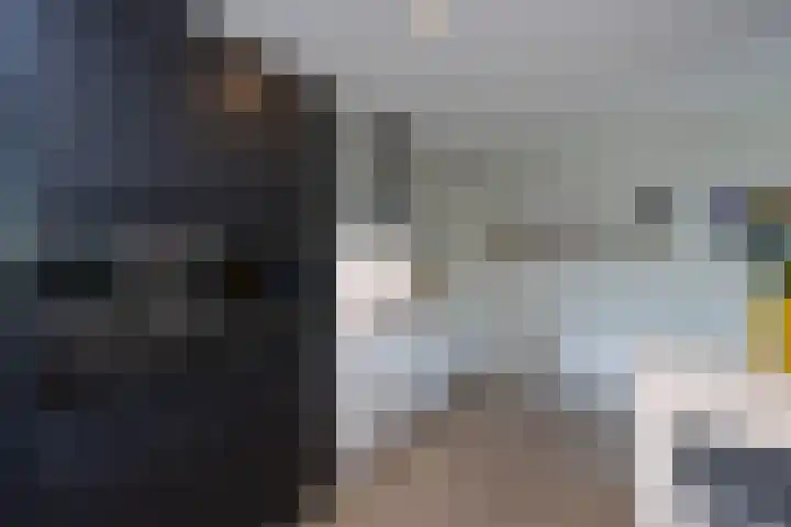Ratelaar 26 Hengelo thumbnail 11