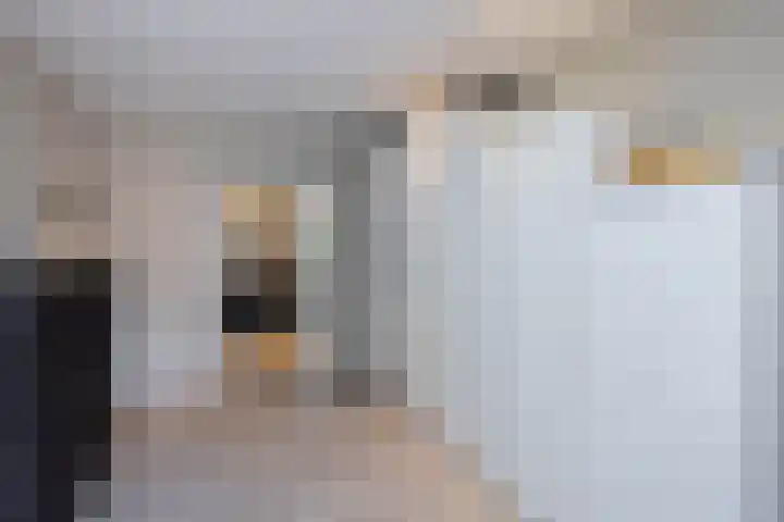 Ratelaar 26 Hengelo thumbnail 15