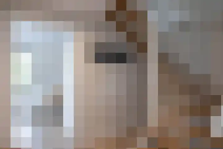 Ratelaar 26 Hengelo thumbnail 17