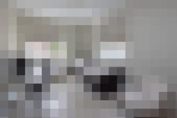 Ratelaar 26 Hengelo thumbnail 19