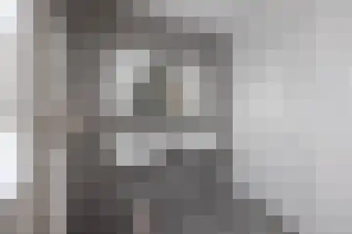 Ratelaar 26 Hengelo thumbnail 24