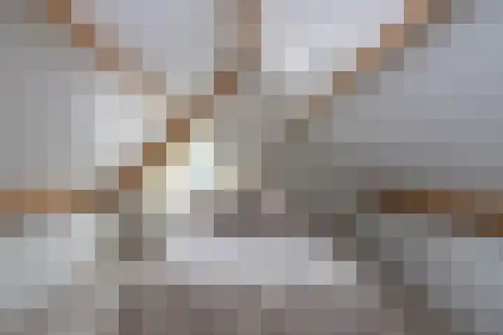 Ratelaar 26 Hengelo thumbnail 25