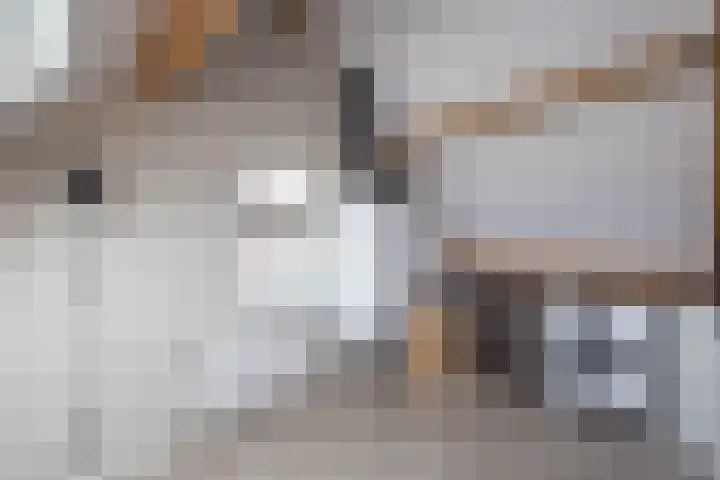 Ratelaar 26 Hengelo thumbnail 27