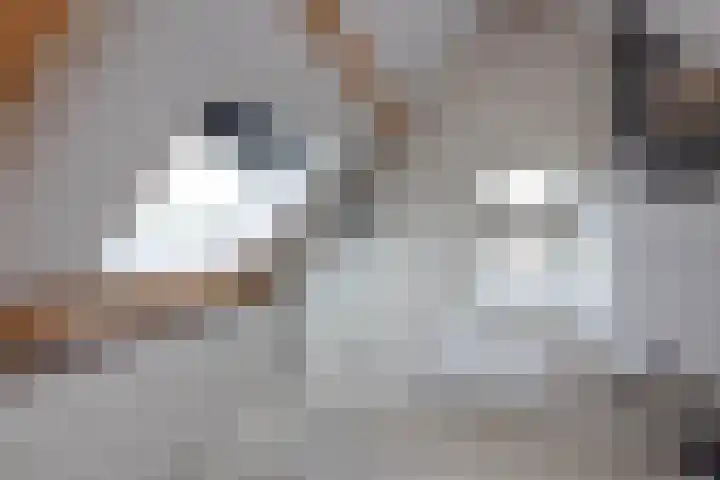 Ratelaar 26 Hengelo thumbnail 28