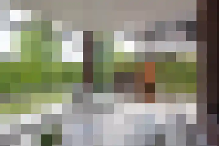 Ratelaar 26 Hengelo thumbnail 30