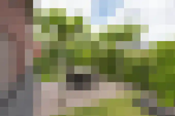 Ratelaar 26 Hengelo thumbnail 33