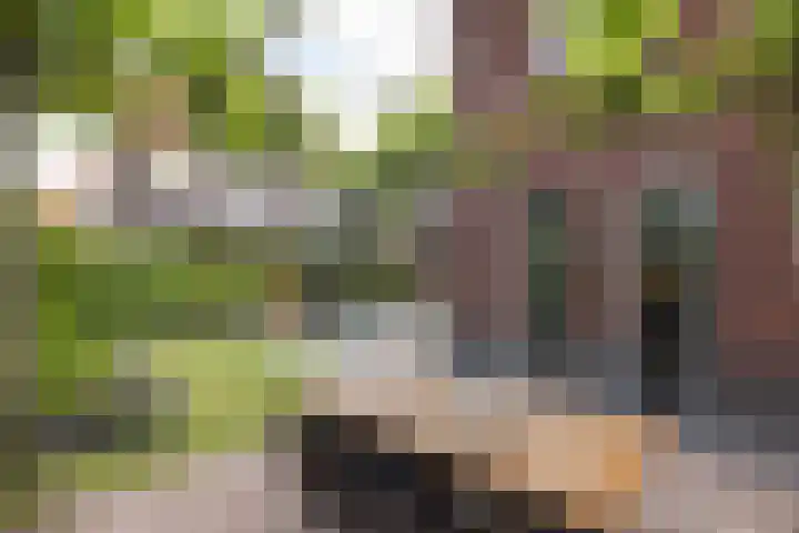 Ratelaar 26 Hengelo thumbnail 34