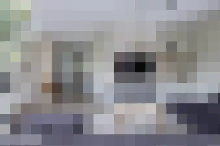 Ratelaar 26 Hengelo thumbnail 4