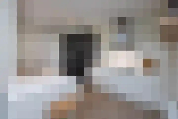 Ratelaar 26 Hengelo thumbnail 9