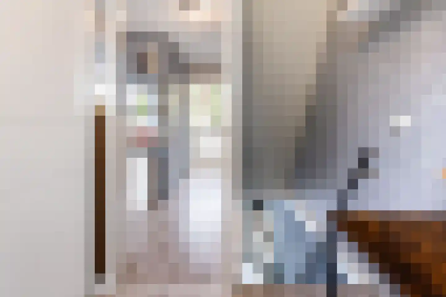 Ratelaar 27 Apeldoorn thumbnail 11