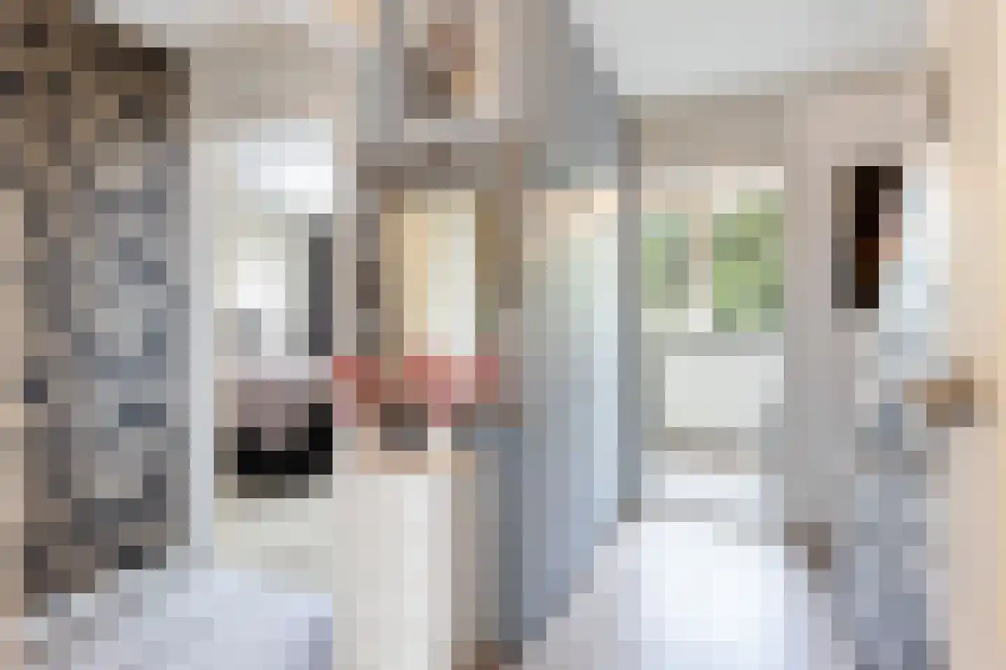 Ratelaar 27 Apeldoorn thumbnail 13
