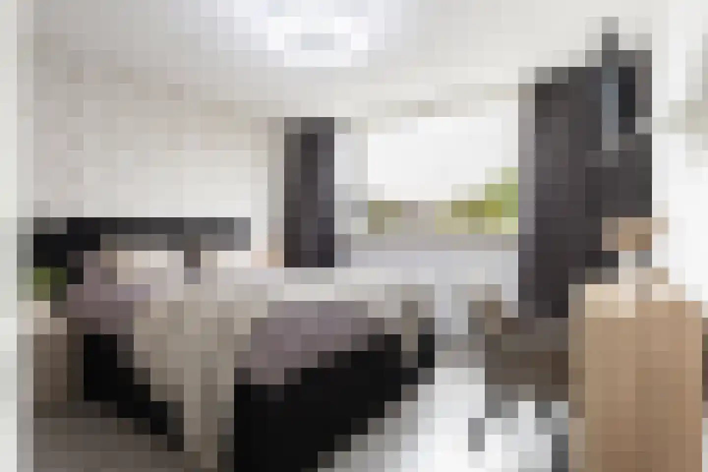 Ratelaar 27 Apeldoorn thumbnail 14
