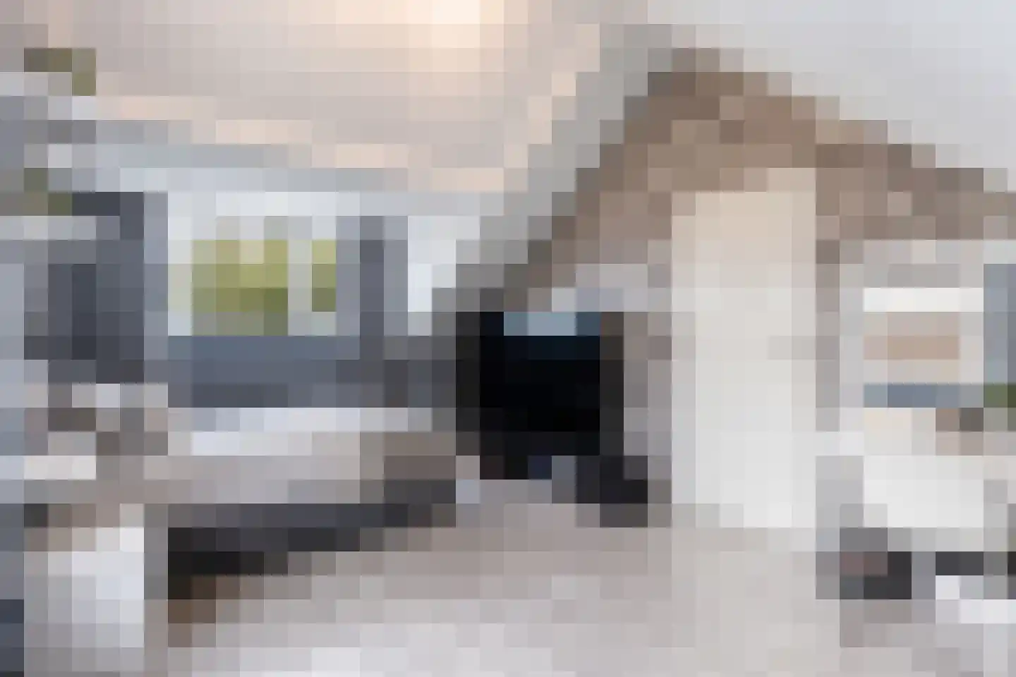 Ratelaar 27 Apeldoorn thumbnail 18