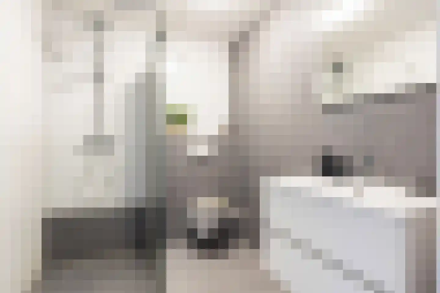 Ratelaar 27 Apeldoorn thumbnail 4