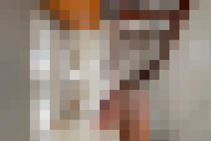 Ratelaar 27 Krimpen aan den IJssel thumbnail 12