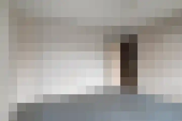 Ratelaar 27 Krimpen aan den IJssel thumbnail 19