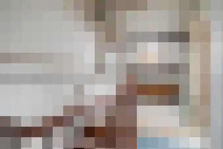 Ratelaar 27 Krimpen aan den IJssel thumbnail 24