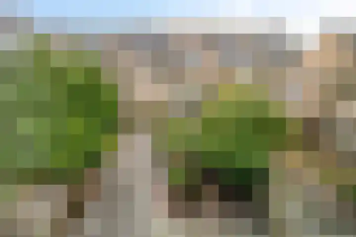 Ratelaar 27 Krimpen aan den IJssel thumbnail 27
