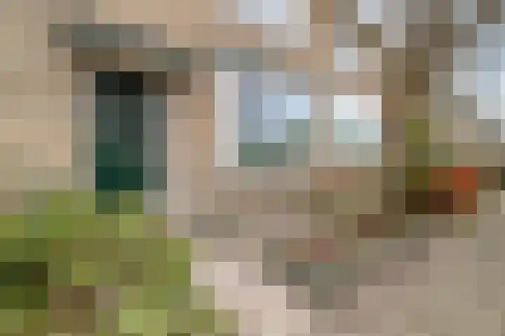 Ratelaar 27 Krimpen aan den IJssel thumbnail 31