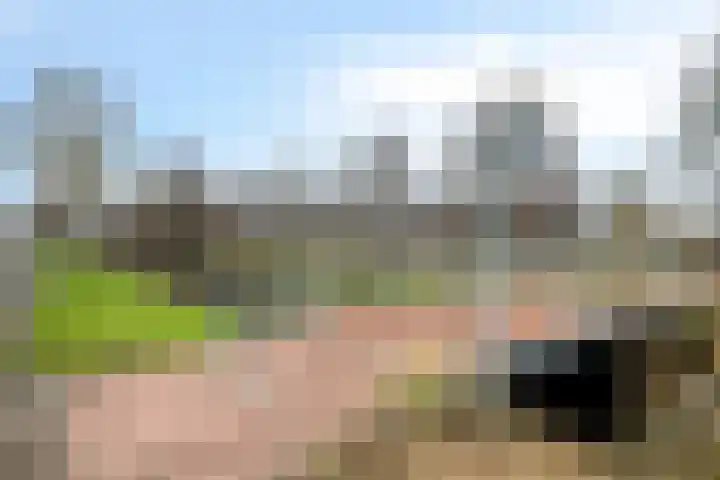 Ratelaar 27 Krimpen aan den IJssel thumbnail 36