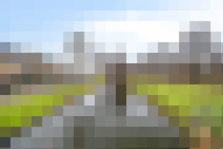 Ratelaar 27 Krimpen aan den IJssel thumbnail 37