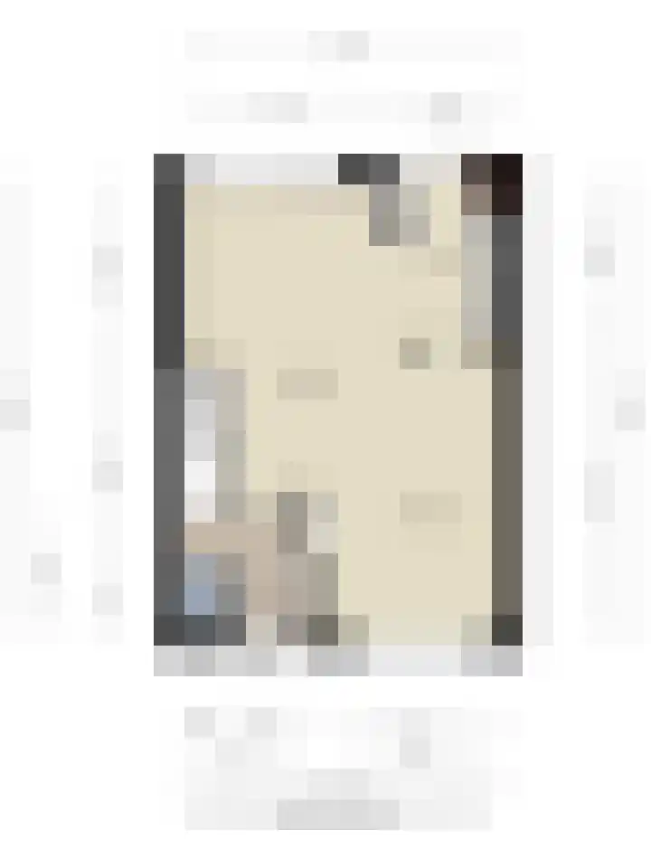 Ratelaar 27 Krimpen aan den IJssel thumbnail 38