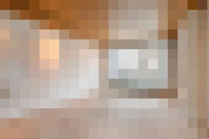 Ratelaar 27 Krimpen aan den IJssel thumbnail 4