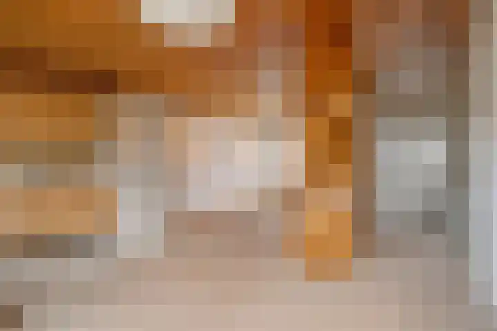 Ratelaar 27 Krimpen aan den IJssel thumbnail 6