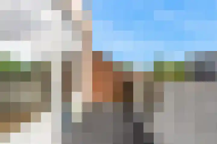 Ratelaar 29 Nieuwegein thumbnail 12