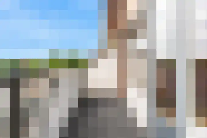Ratelaar 29 Nieuwegein thumbnail 13