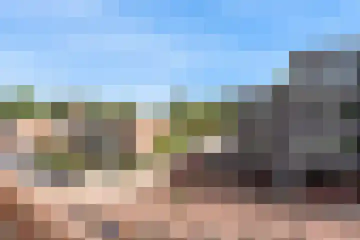 Ratelaar 29 Nieuwegein thumbnail 22