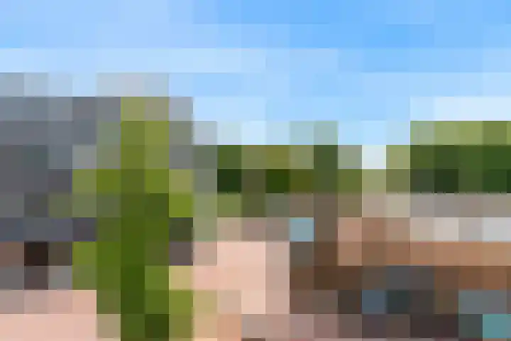 Ratelaar 29 Nieuwegein thumbnail 23