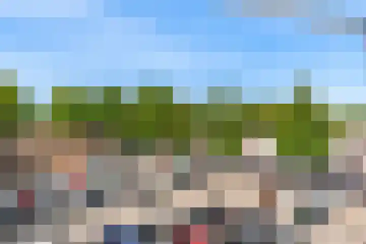 Ratelaar 29 Nieuwegein thumbnail 24