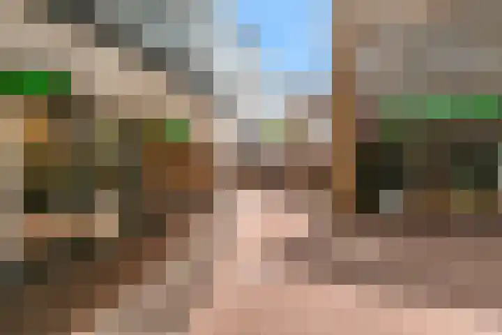 Ratelaar 29 Nieuwegein thumbnail 26