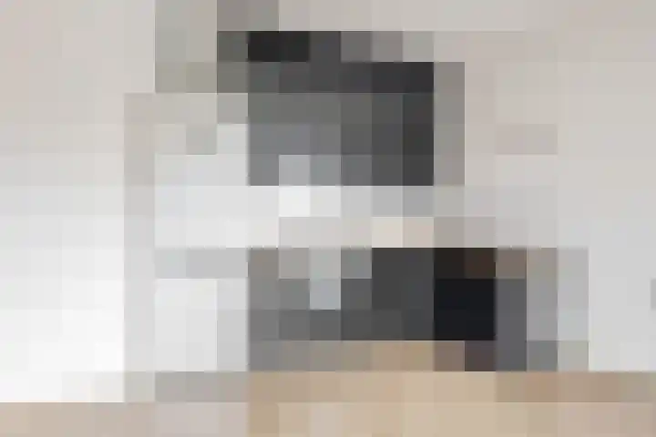 Ratelaar 29 Nieuwegein thumbnail 5
