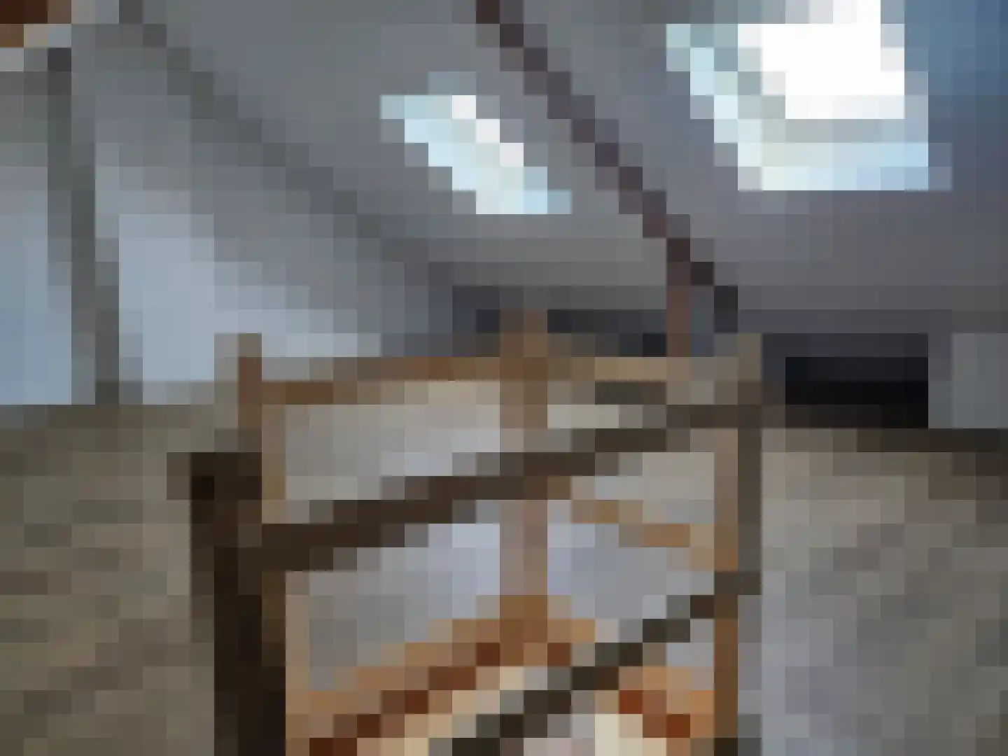 Ratelaar 3 Heerenveen thumbnail 27