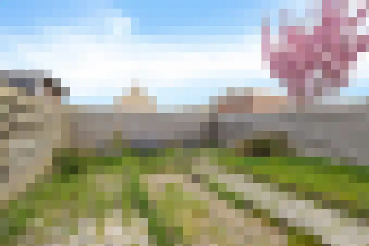Ratelaar 3 Heerenveen thumbnail 30